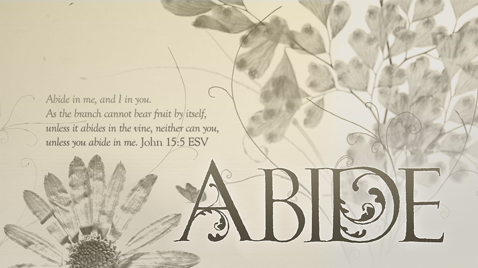 abide-1698267942.png