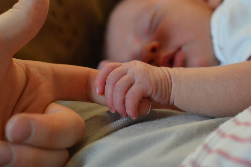 A newborn baby sleeping while holding onto an adult's finger